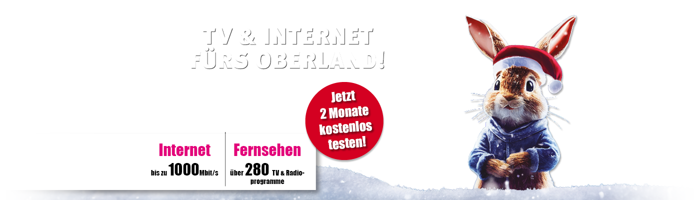 TV & Internet für das Oberland